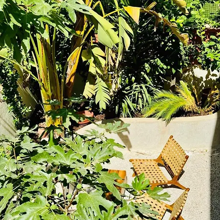 Maison Lyo Luxe Cannes