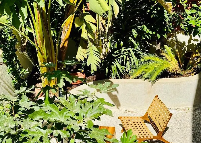 Maison Lyo Luxe Cannes