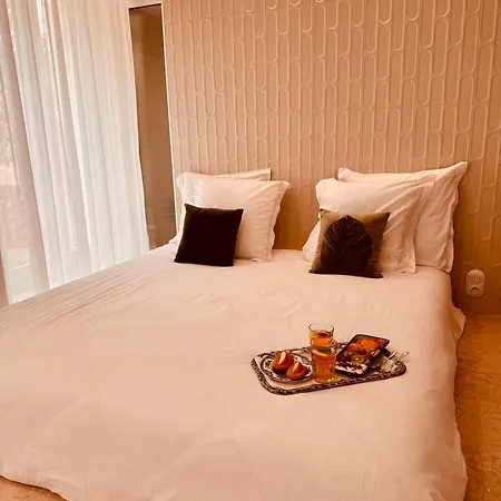 Apartamento Maison Lyo Luxe Cannes